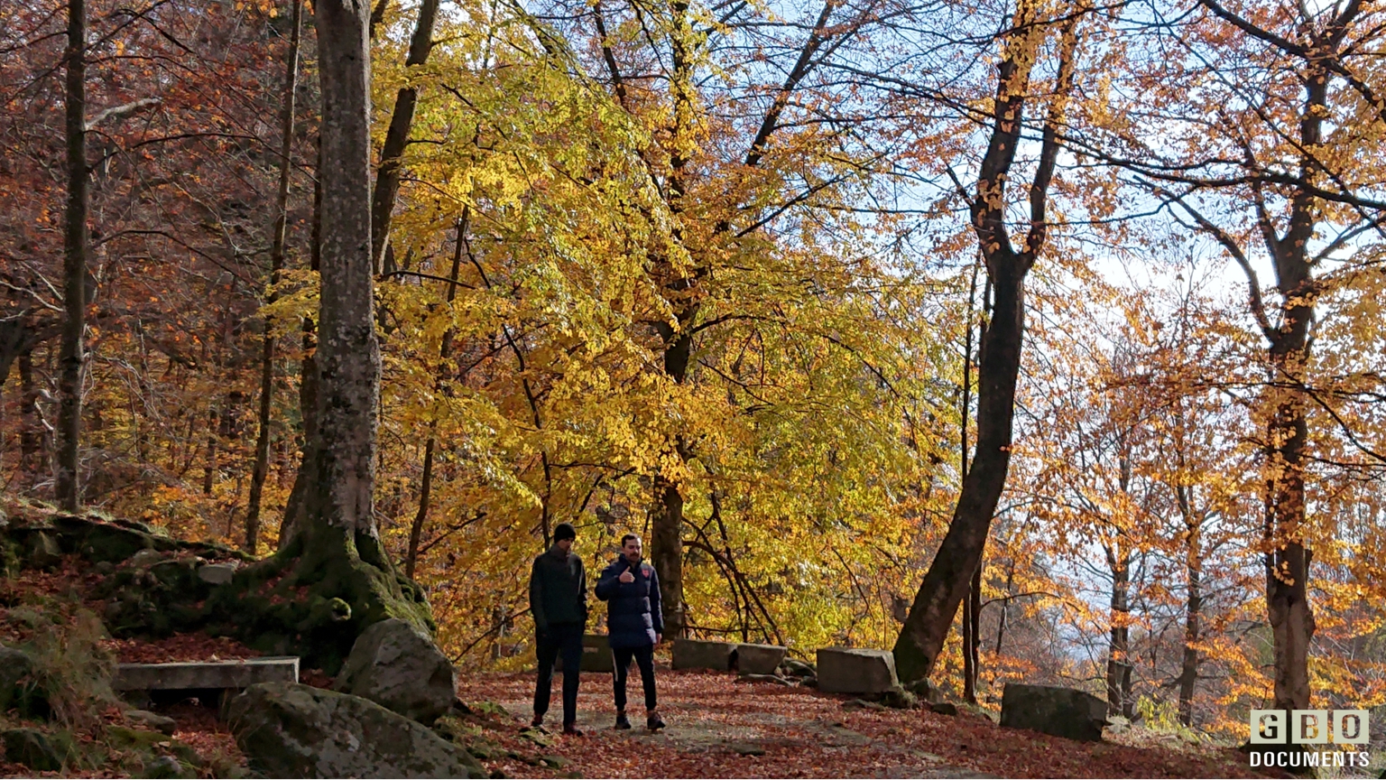Fall Foliage nel biellese: Oropa e Burcina