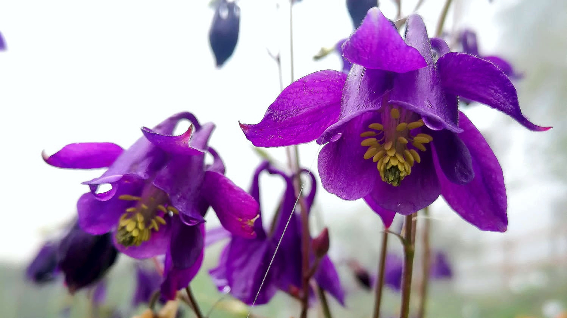 Il programma di ottobre al Giardino