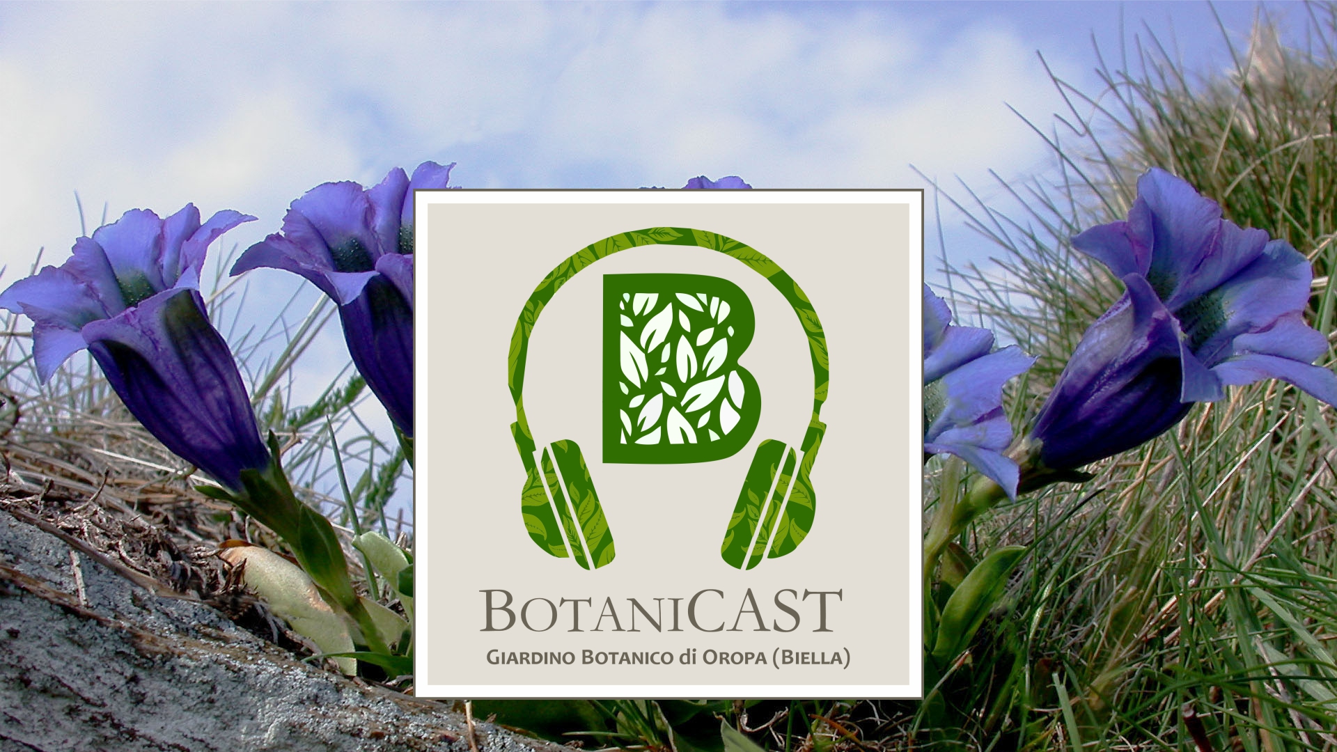 BotaniCAST, nuova serie: Ma tu, le piante, le vedi?