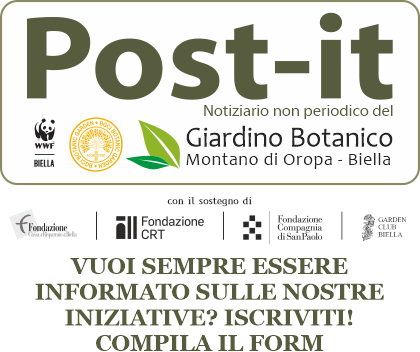 Iscriviti alla newsletter